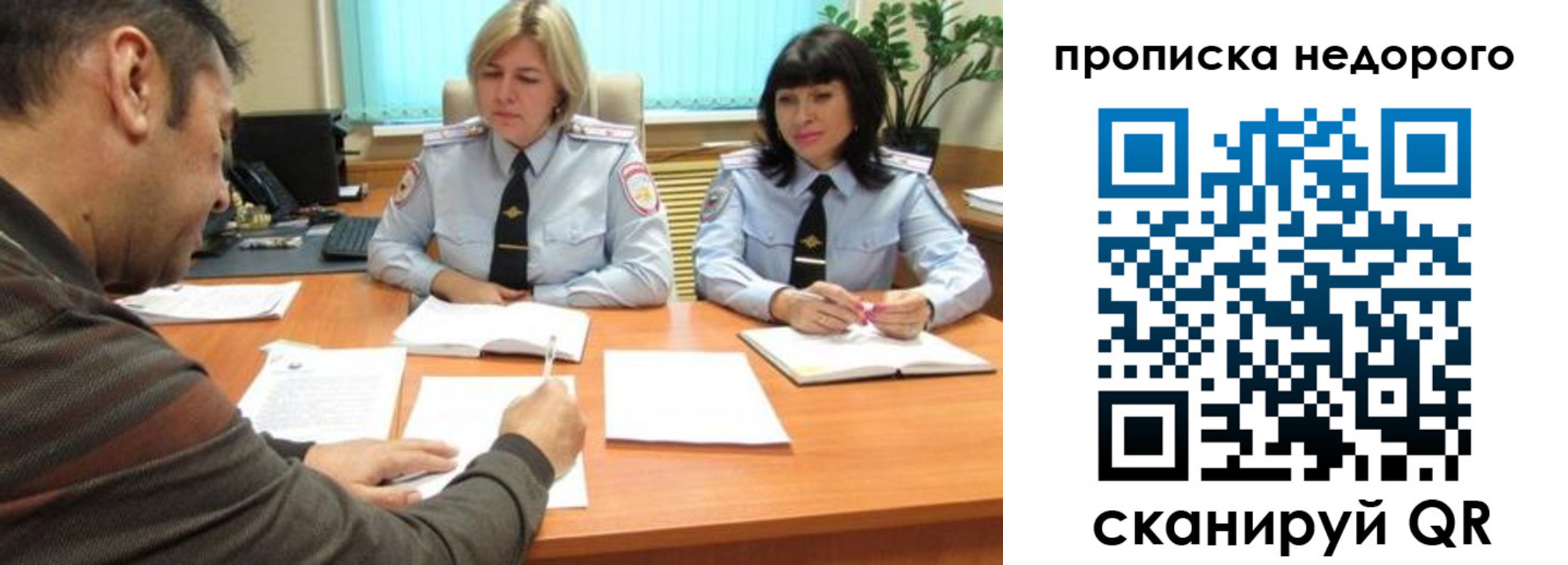 прописка поиск в Курской области